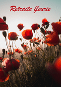 Jardin de coquelicots pour une retraite joyeuse